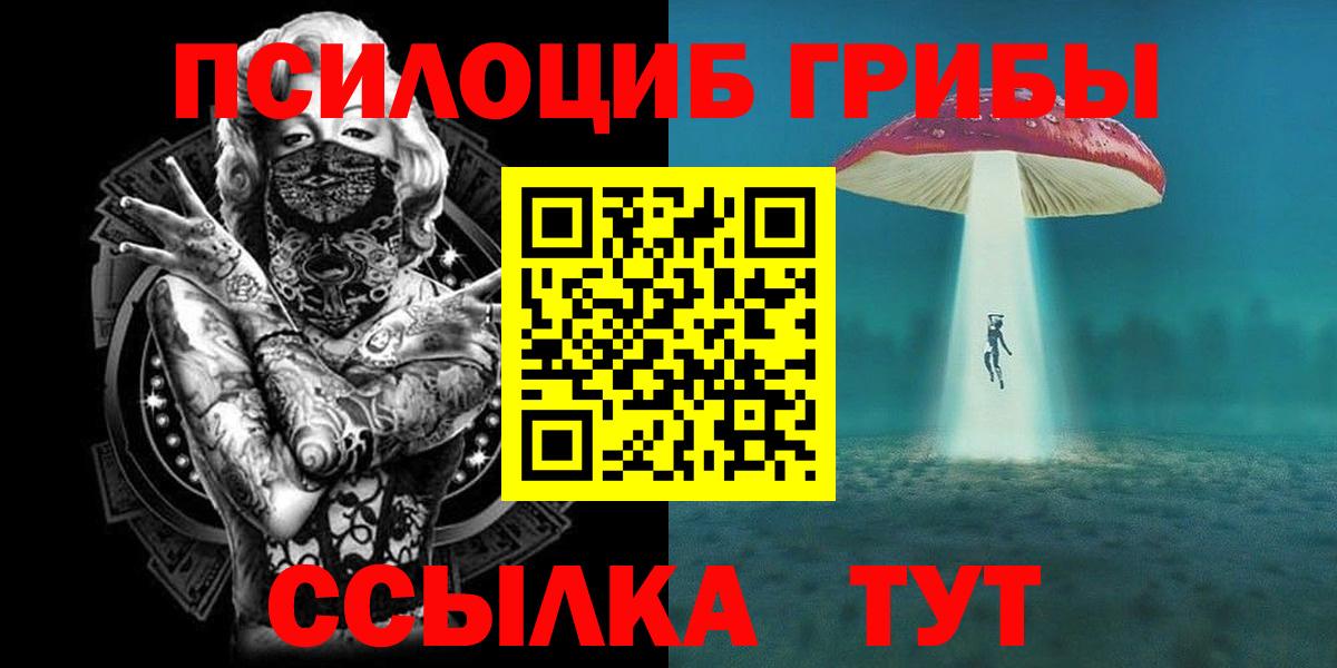 купить  цена  Вход с VPN  Мурманск  Галлюциногенные грибы GOLDEN TEACHER 